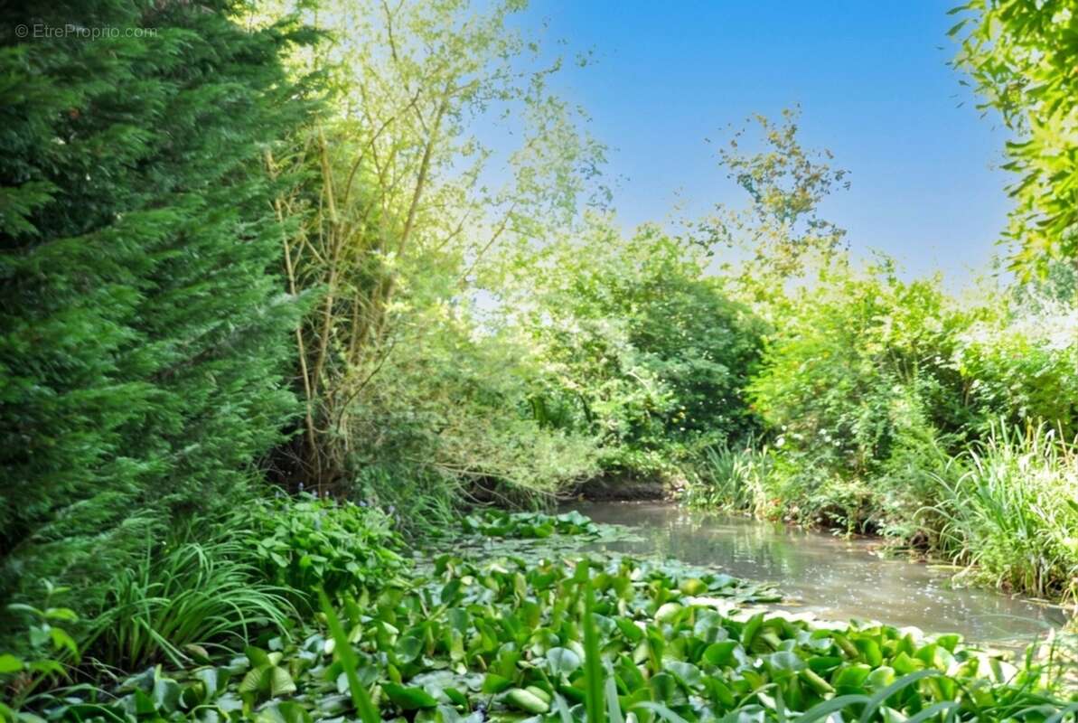 Maison de campagne dans parc arboré 3000 m². Moissieu sur Dolon 38270 - photo 11