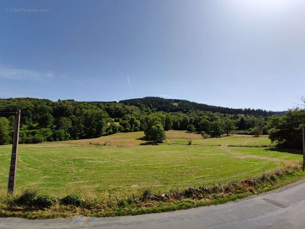 Maison à SAINTE-FEYRE