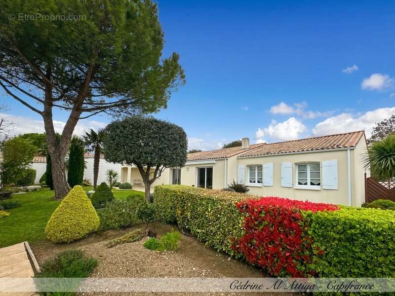 Maison à SAINT-XANDRE
