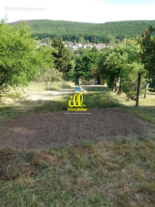 Terrain 650 m² à Nouzonville  - photo 2