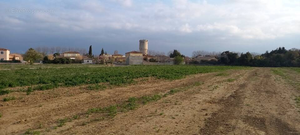 Terrain à CANET