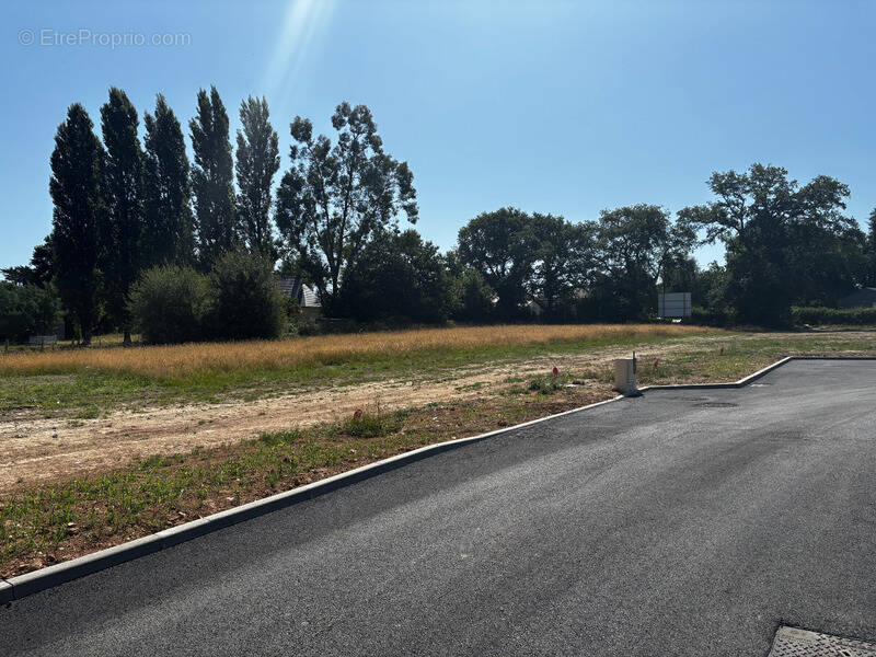 Terrain à BAINS-SUR-OUST