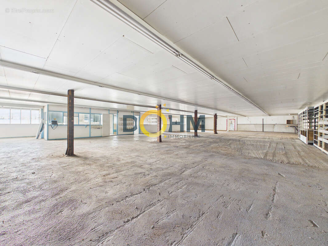 Local industriel 1670m2, carport 300m2 sur terrain de 7457m2 - photo 5