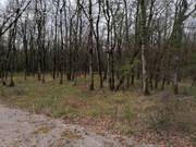 Terrain à LA ROUQUETTE