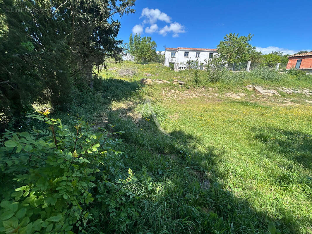 Terrain à VILLEFLOURE