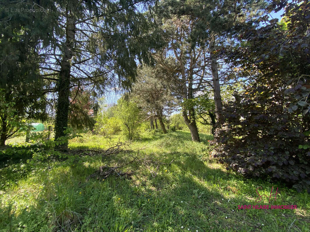 Maison à LA CHAPELLE-SAINT-MESMIN