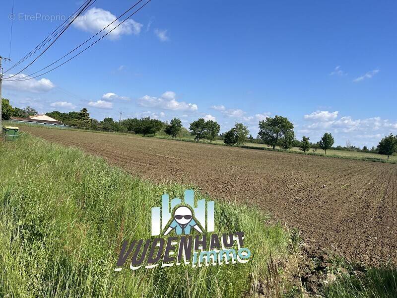 Terrain à MERVILLE