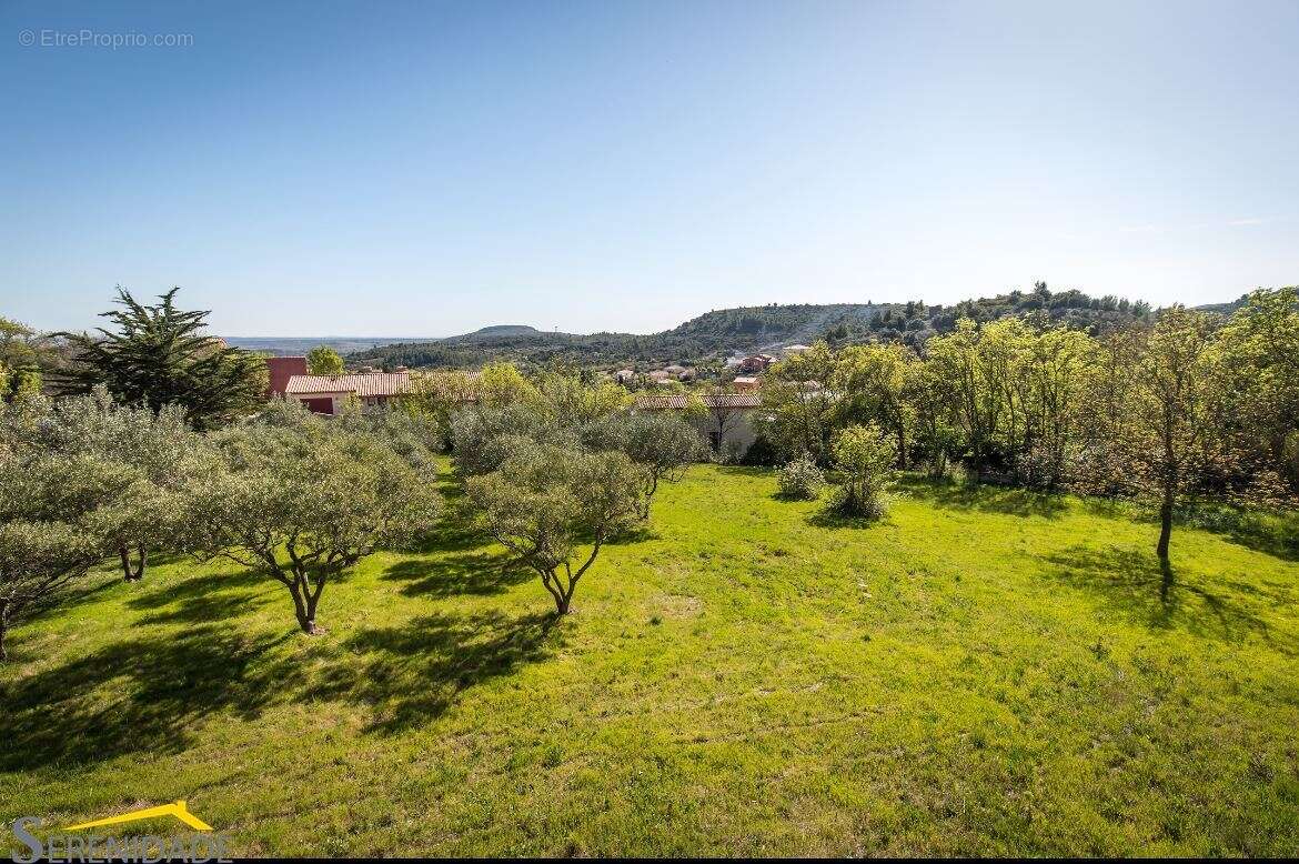 Terrain 2657 m² à Pezenas  - photo 6