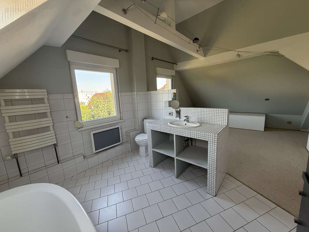 Commerce à STRASBOURG