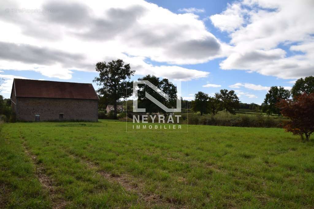 Ferme bourguignone avec terrain de 8 000 m² – fort potentiel ! - photo 15