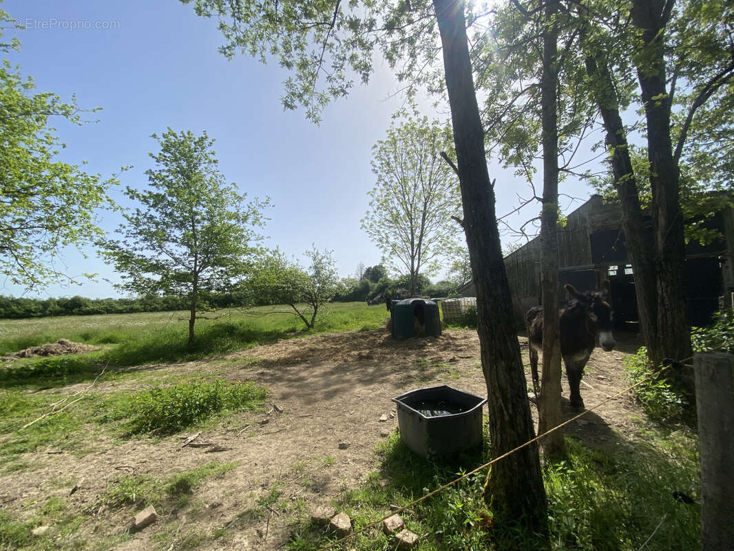 Maison à GANNAY-SUR-LOIRE