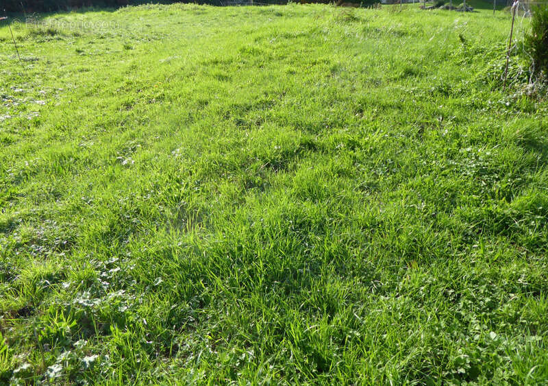 Terrain à EVIAN-LES-BAINS