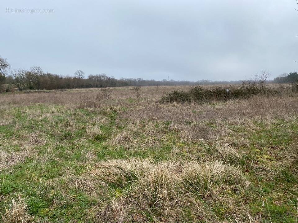 Terrain à PONT-L'ABBE-D'ARNOULT