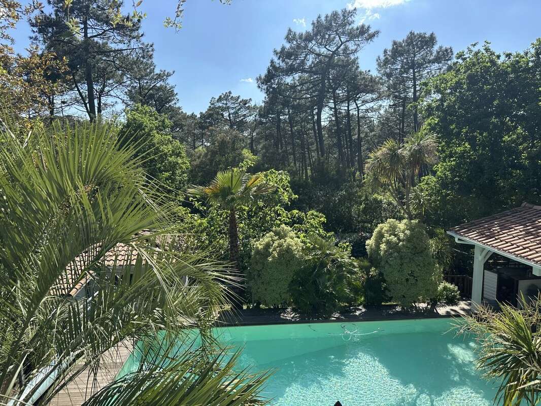 Maison à LE BOUSCAT