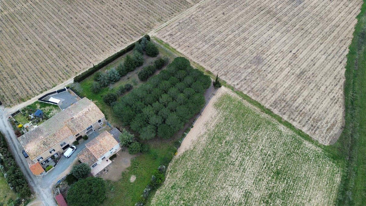 Maison à LAURE-MINERVOIS
