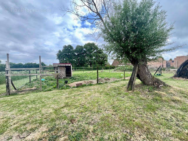 Terrain à MORBECQUE