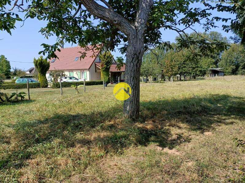 Terrain à GRACAY
