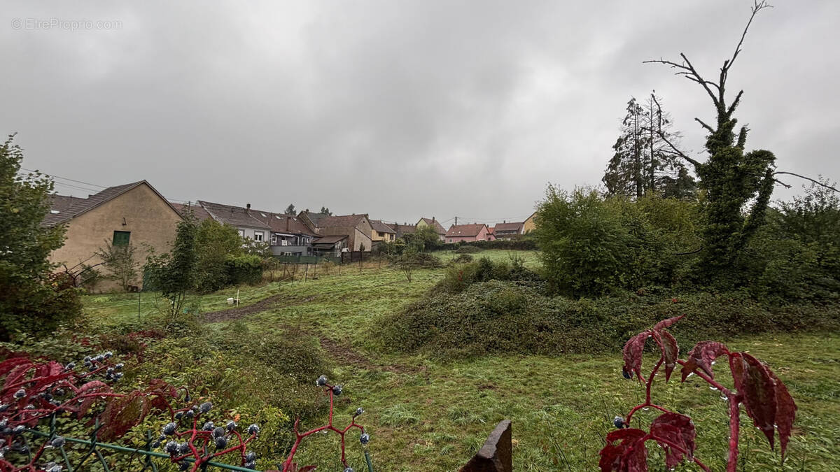 Terrain à LUTZELHOUSE
