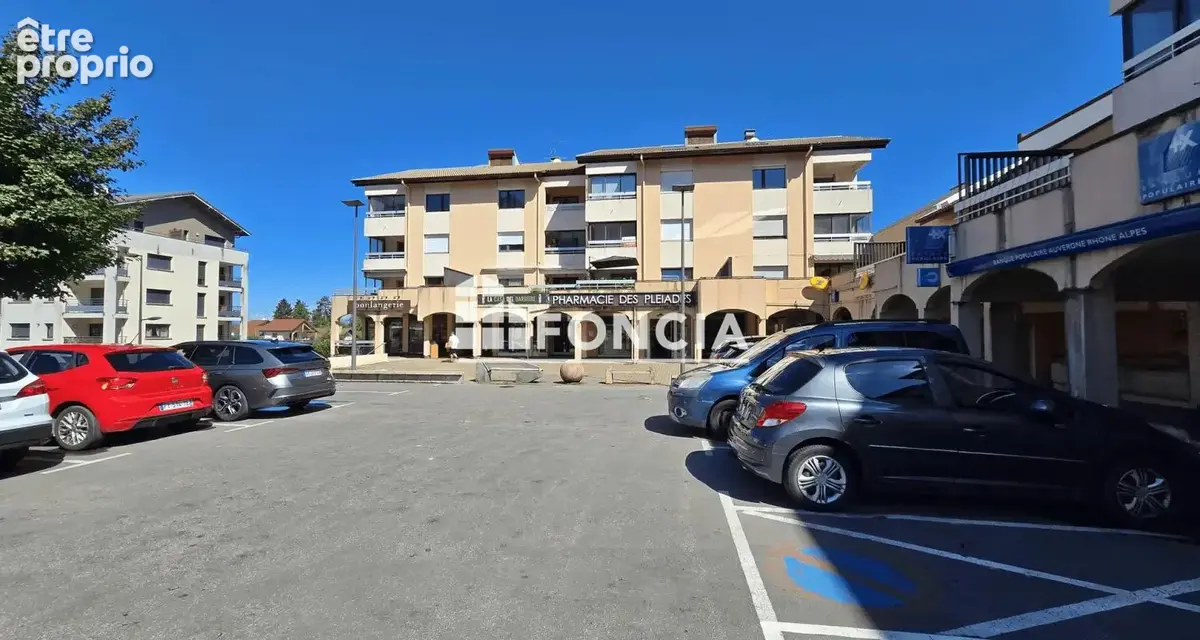 Saint-pierre-en-faucigny : appartement t4 + cave - photo 14