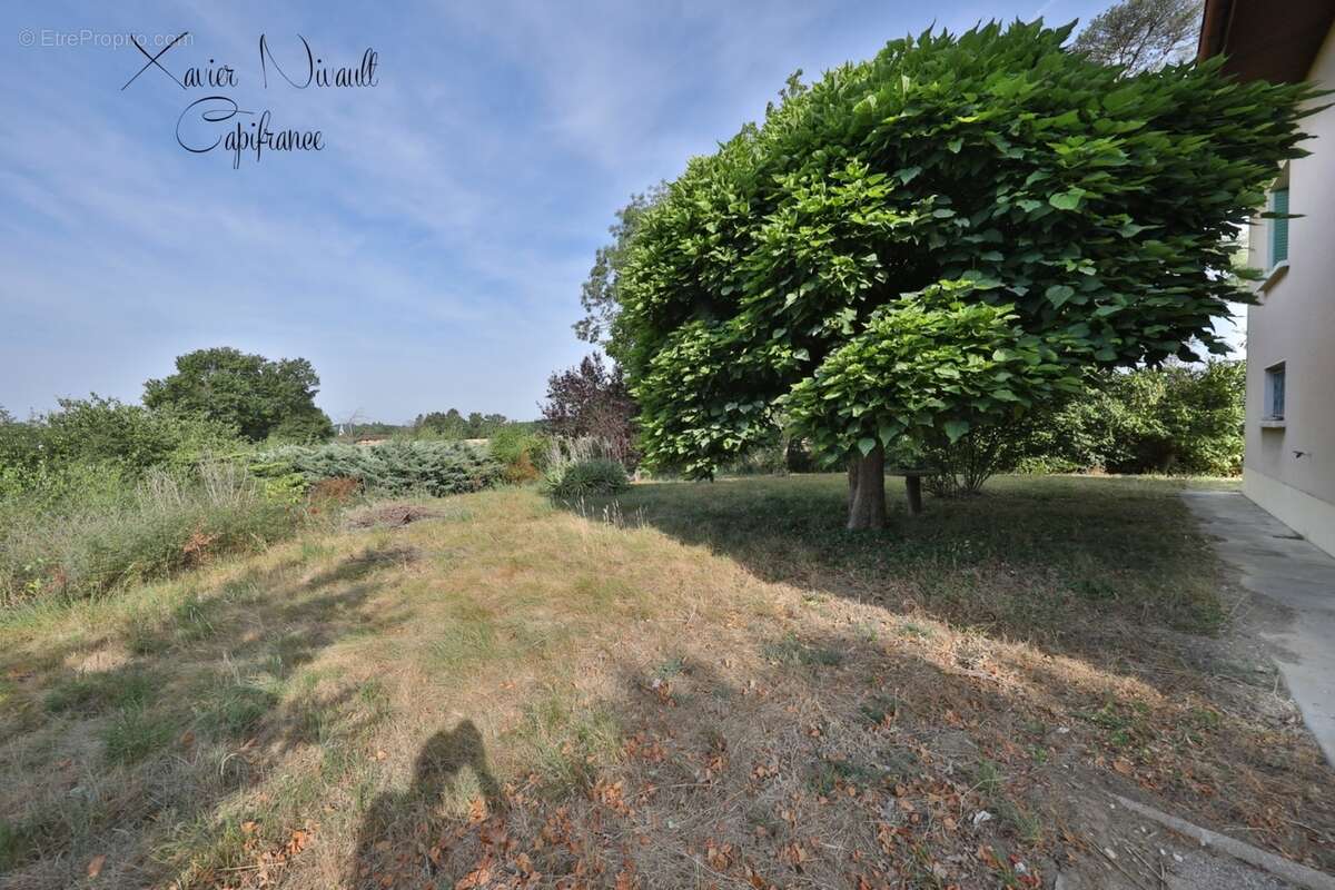Maison à vendre 5 pièces proche de MONTREVEL EN BRESSE (01) - photo 5