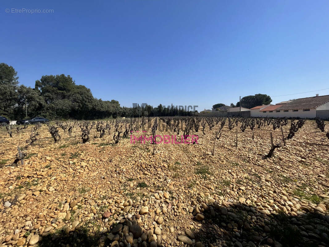 Terrain à SORGUES