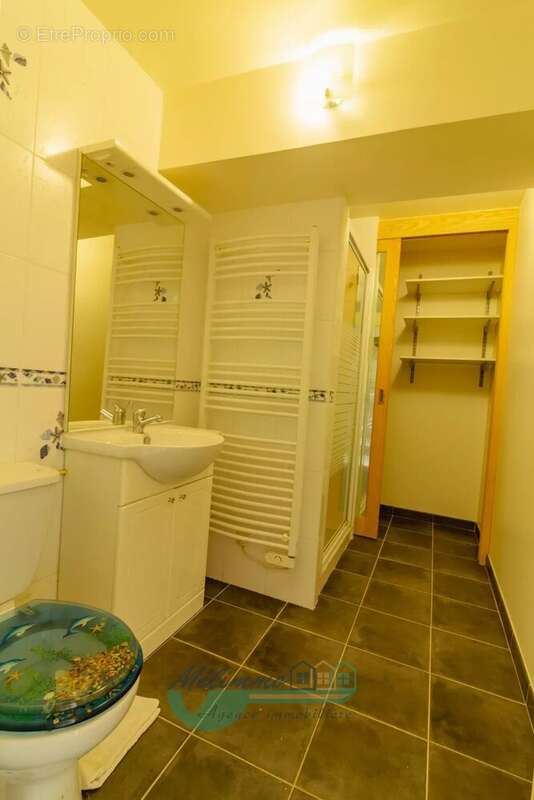 Maison 108 m² à Sougeres-En-Puisaye  - photo 4