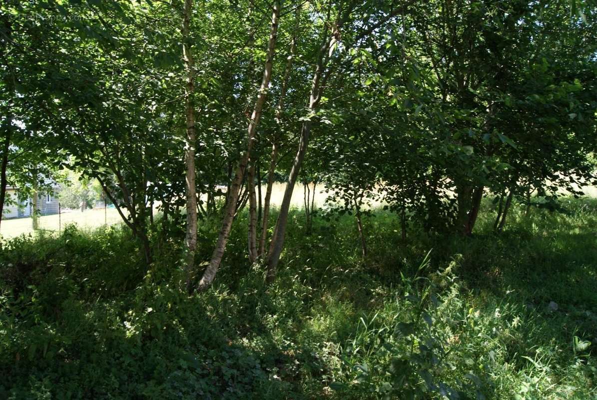 Terrain à SAINT-ANDRE-D&#039;HEBERTOT