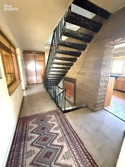 Schiltigheim - Maison de Maître environ 300m2 sur terrain d'environ 4 ares - photo 9