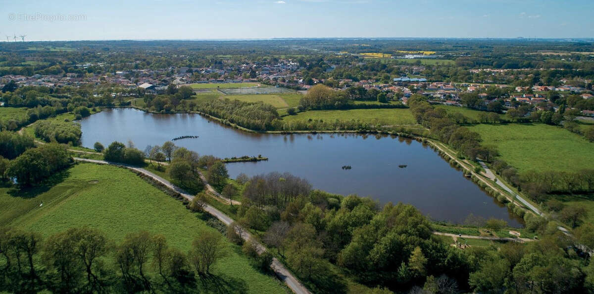 Terrain à SAINT-PERE-EN-RETZ