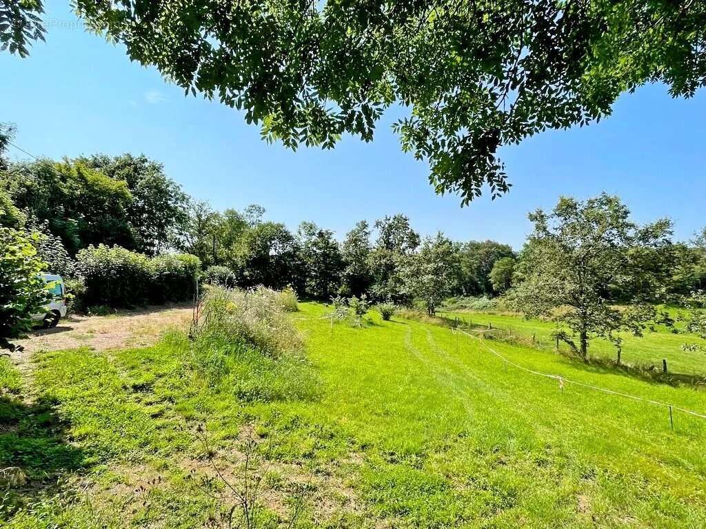 Bourgogne, Parc du Morvan, Secteur Moux en Morvan, maison de campagne 65 m² environ sur plus de 2000 m² de terrain. - photo 4