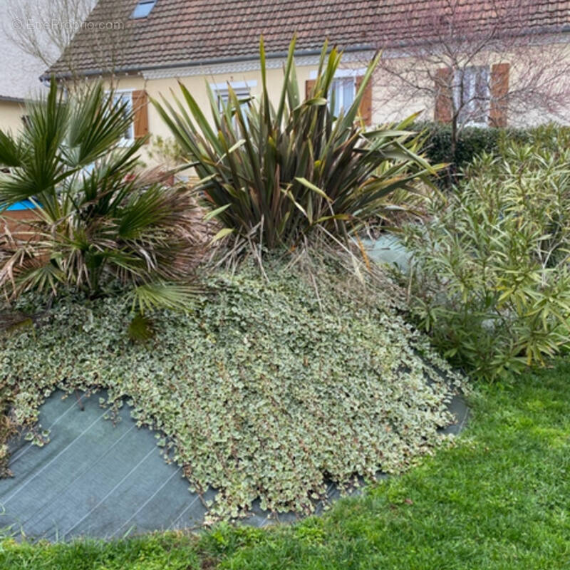 Maison à LA COQUILLE