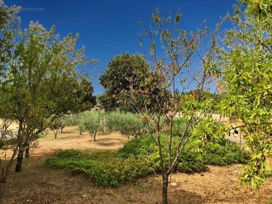 Maison à CASTILLON-DU-GARD