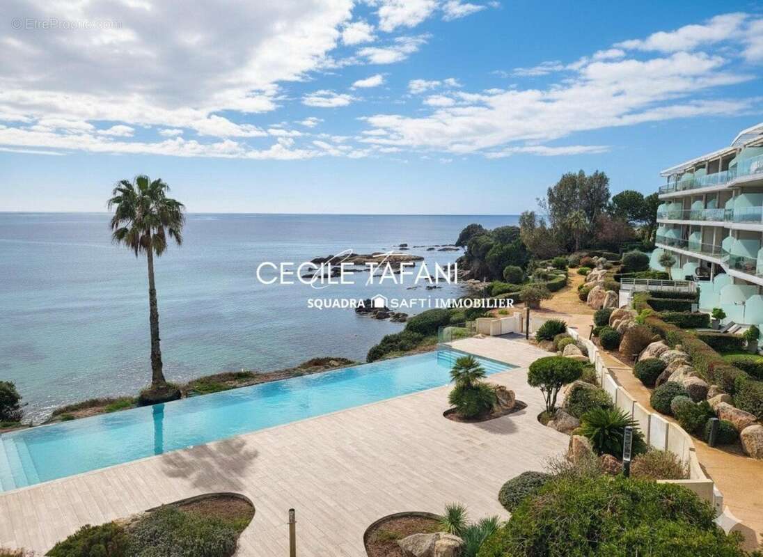 Photo 2 - Appartement à SARI-SOLENZARA