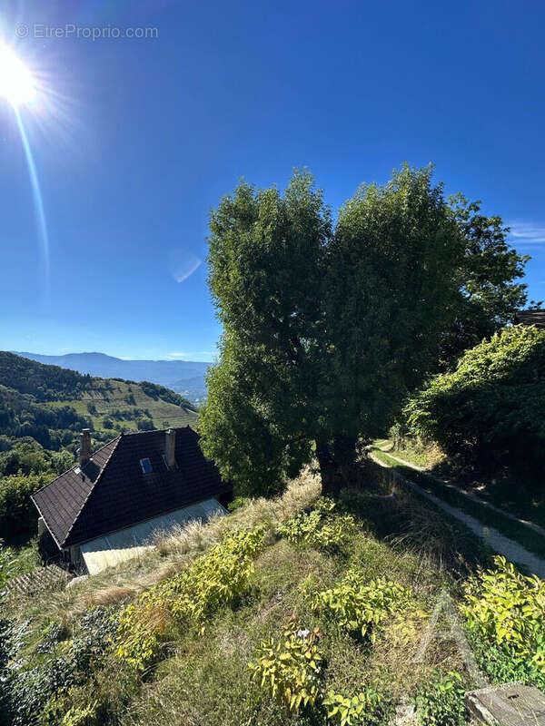 Maison à SAINT-JEAN-LE-VIEUX