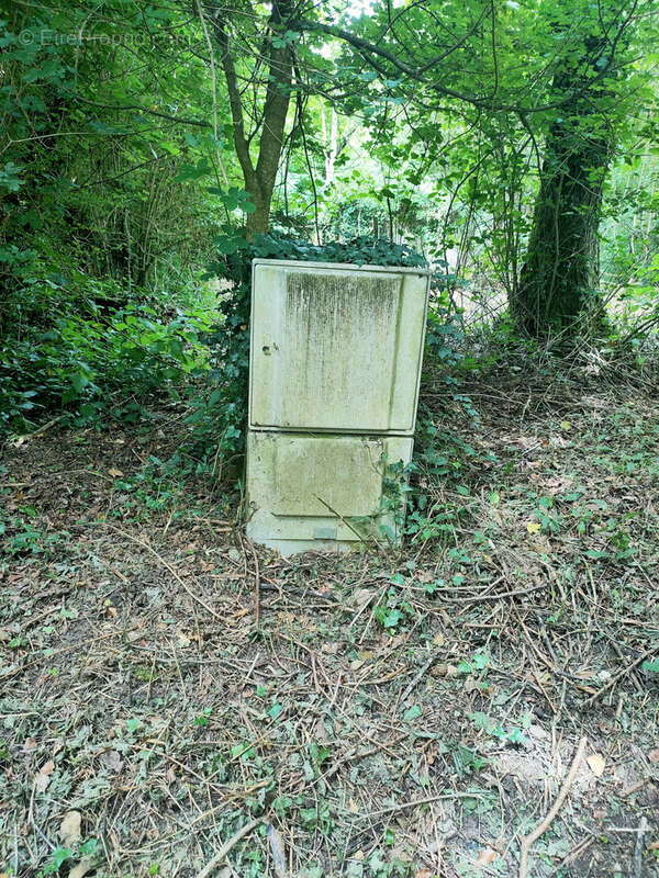 Terrain à MONTREUIL-L&#039;ARGILLE