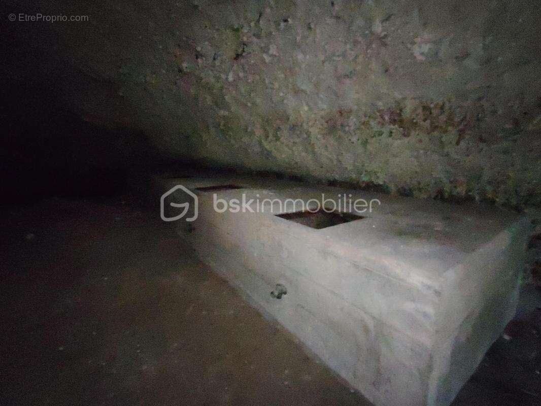 caves et terrain 3173 m² - photo 10