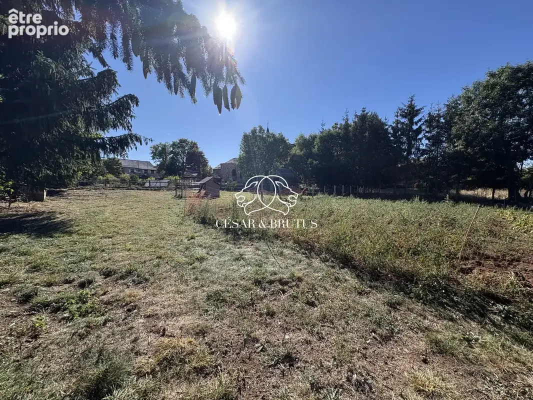 Terrain 775 m² à vendre à Moudeyres (43150) - photo 2
