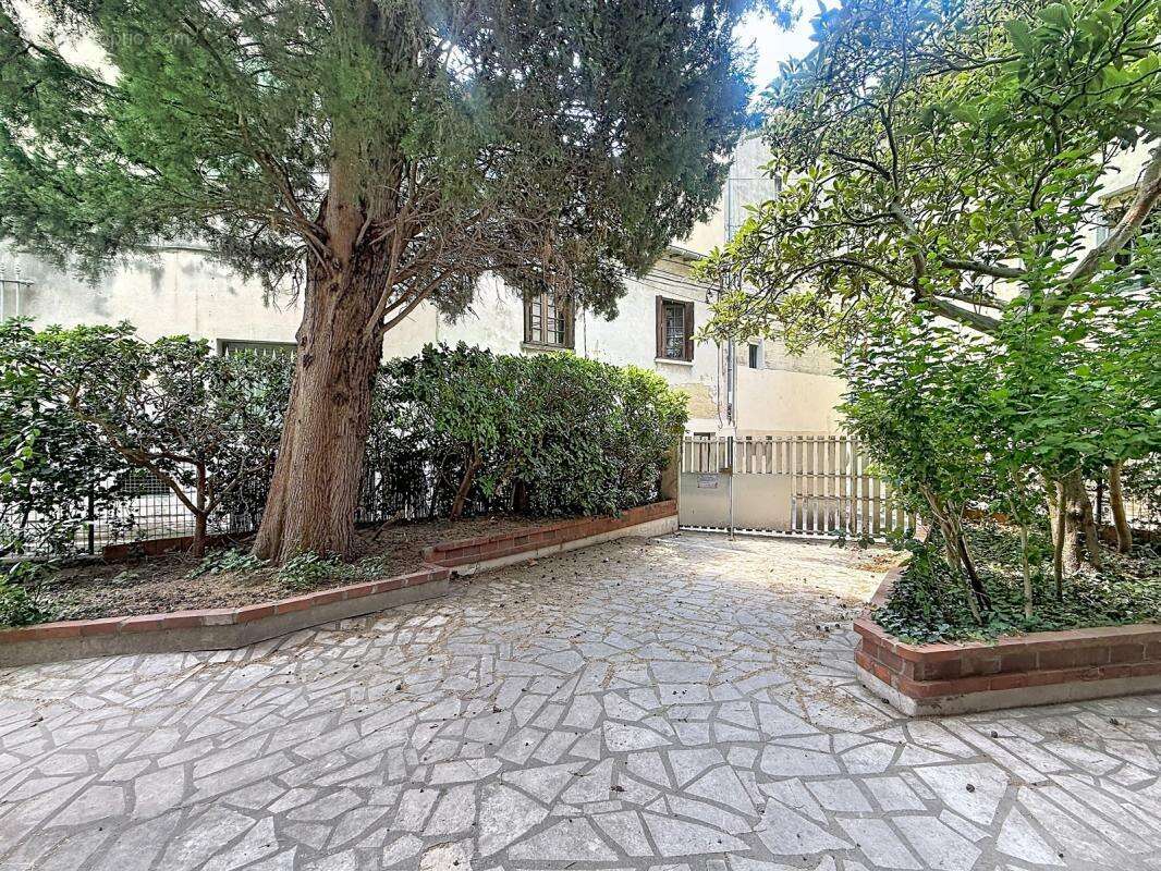 Exclusivite avignon intra muros  t2 29,47 m² terrasse 6m² - photo 9