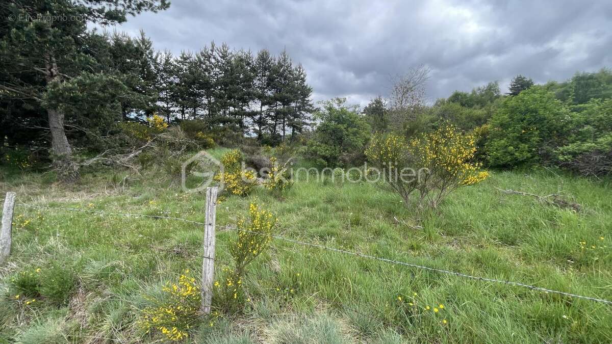 Terrain à SAINT-ALBAN-SUR-LIMAGNOLE
