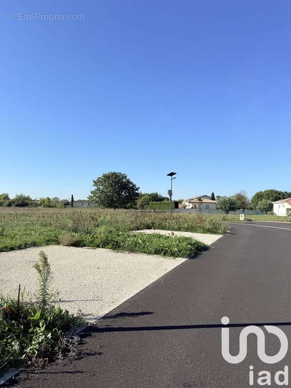 Photo 2 - Terrain à MONTAUBAN