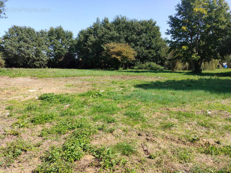 Terrain à TESSON