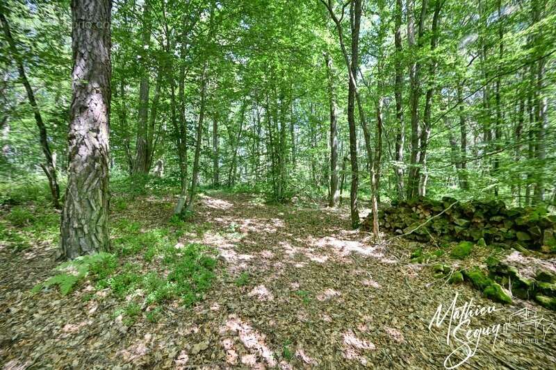 Terrain à bâtir de 2815 m² à AVEIZE (69) - photo 15