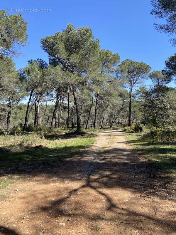 Maison T5 112m2 à vendre en forêt communale à Cabriès (13480)   Cadre idéal, calme absolu, nombreuses annexes. - photo 8