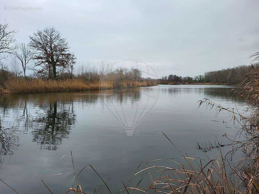 Autre à SERVON-MELZICOURT