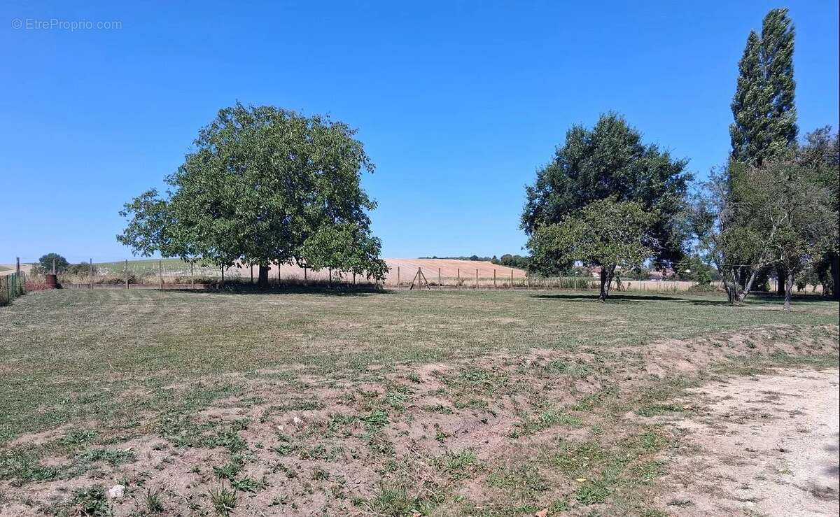 Maison 173 m² à Racines  - photo 2
