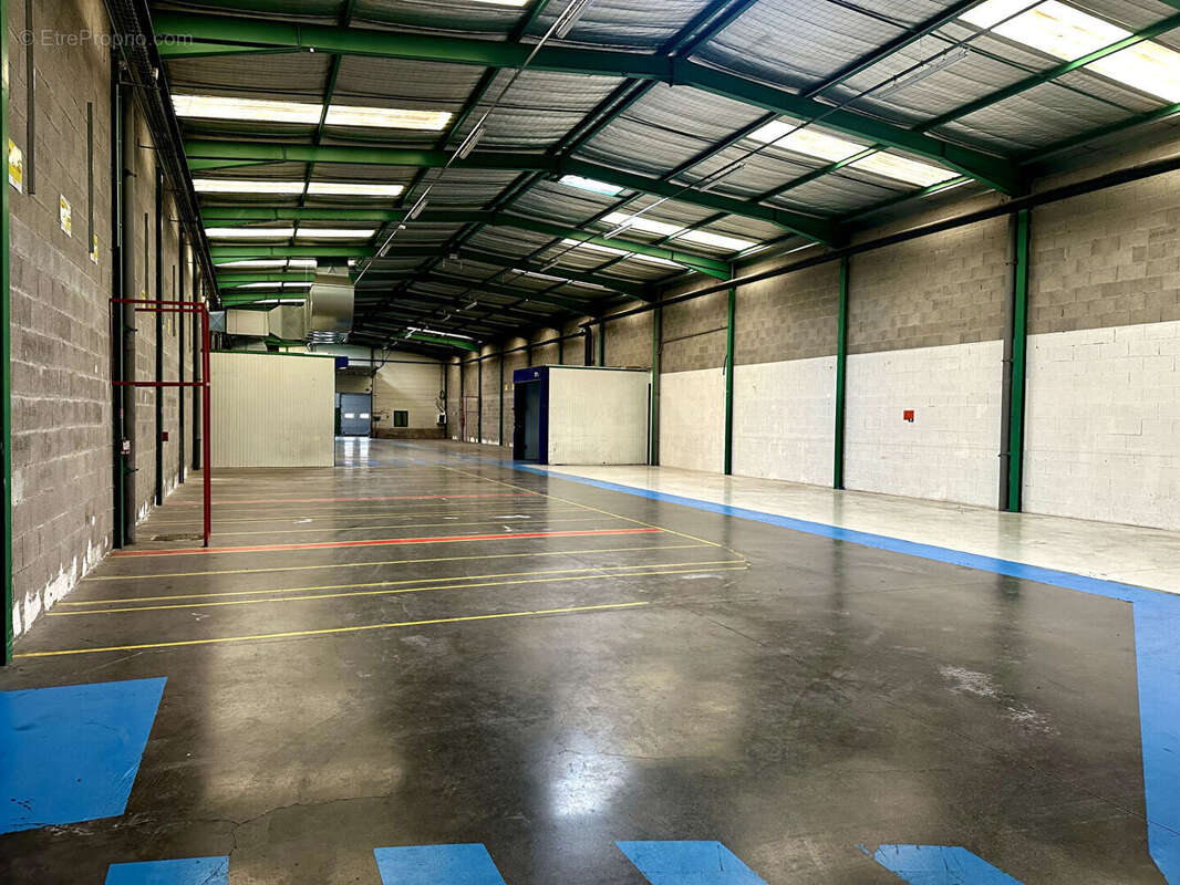 Commerce à BELLIGNAT