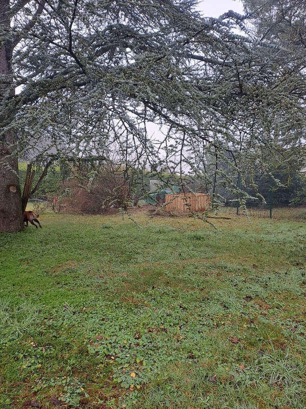 Terrain à GREZ-SUR-LOING