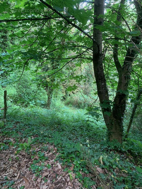 Terrain à AMBRIERES-LES-VALLEES