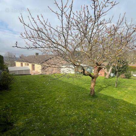 1 n°9 - Maison à EU