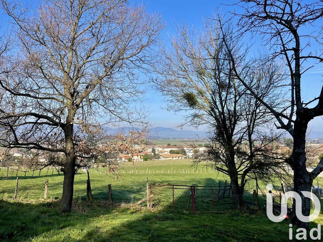 Photo 5 - Terrain à ASSIEU